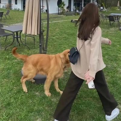 李天腾与赵小宝2